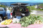 SellingVeggiesInTheRain